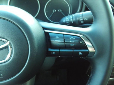 Mazda CX-30 Neuwagen Mazda CX-30 Neuwagen
