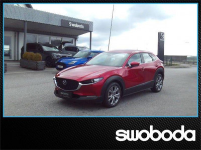 Mazda CX-30 Gebrauchtwagen