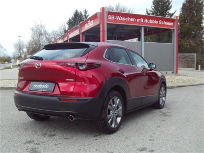 Mazda CX-30 Gebrauchtwagen Mazda CX-30 Gebrauchtwagen