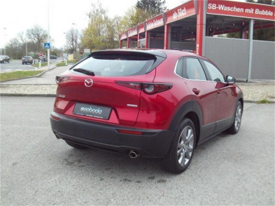 Mazda CX-30 Gebrauchtwagen Mazda CX-30 Gebrauchtwagen