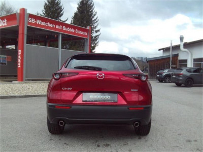 Mazda CX-30 Gebrauchtwagen Mazda CX-30 Gebrauchtwagen