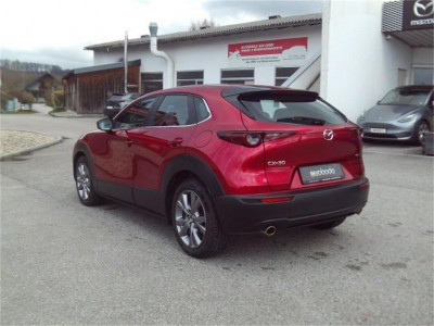 Mazda CX-30 Gebrauchtwagen Mazda CX-30 Gebrauchtwagen