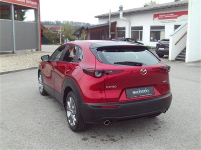 Mazda CX-30 Gebrauchtwagen Mazda CX-30 Gebrauchtwagen