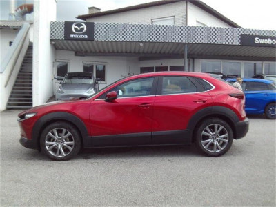Mazda CX-30 Gebrauchtwagen Mazda CX-30 Gebrauchtwagen