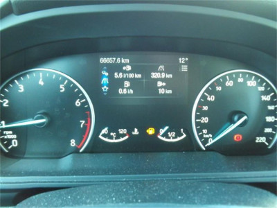 Ford EcoSport Gebrauchtwagen