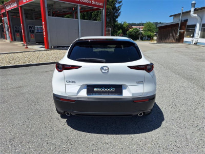 Mazda CX-30 Neuwagen Mazda CX-30 Neuwagen