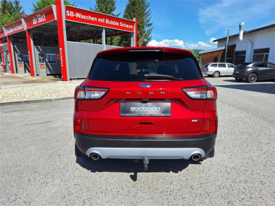 Ford Kuga Gebrauchtwagen Ford Kuga Gebrauchtwagen