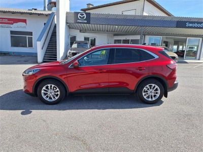 Ford Kuga Gebrauchtwagen Ford Kuga Gebrauchtwagen