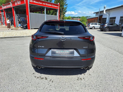 Mazda CX-30 Gebrauchtwagen Mazda CX-30 Gebrauchtwagen