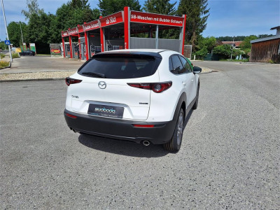 Mazda CX-30 Neuwagen Mazda CX-30 Neuwagen