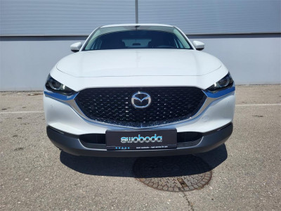 Mazda CX-30 Gebrauchtwagen Mazda CX-30 Gebrauchtwagen