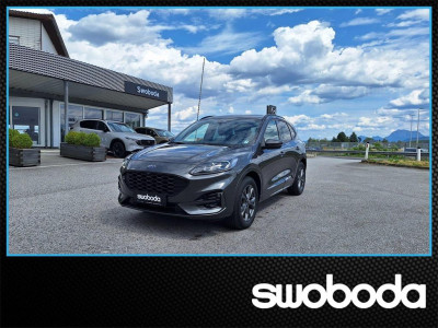 Ford Kuga Gebrauchtwagen Ford Kuga Gebrauchtwagen