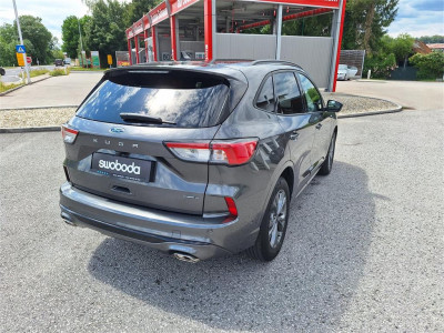 Ford Kuga Gebrauchtwagen Ford Kuga Gebrauchtwagen