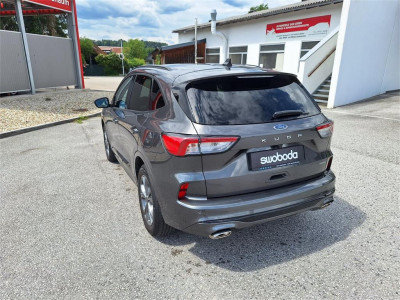 Ford Kuga Gebrauchtwagen Ford Kuga Gebrauchtwagen