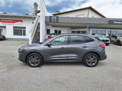 Ford Kuga Gebrauchtwagen Ford Kuga Gebrauchtwagen