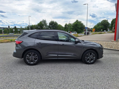 Ford Kuga Gebrauchtwagen Ford Kuga Gebrauchtwagen