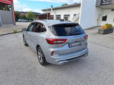 Ford Kuga Gebrauchtwagen Ford Kuga Gebrauchtwagen