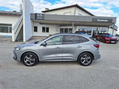Ford Kuga Gebrauchtwagen Ford Kuga Gebrauchtwagen
