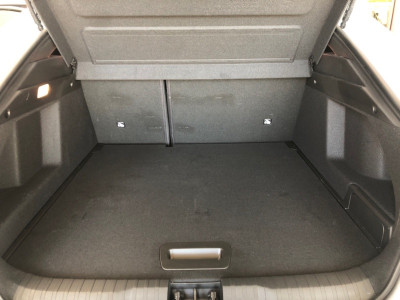 Renault Arkana Vorführwagen