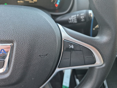 Dacia Spring Gebrauchtwagen