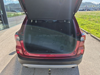 Ford Kuga Gebrauchtwagen Ford Kuga Gebrauchtwagen