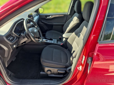 Ford Kuga Gebrauchtwagen Ford Kuga Gebrauchtwagen