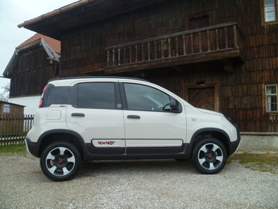 Fiat Panda Tageszulassung