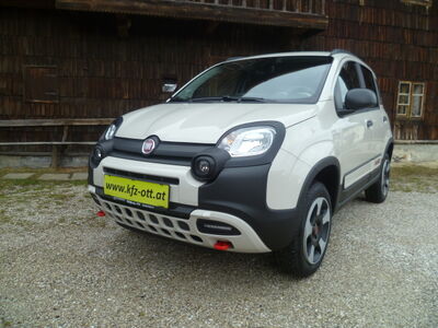 Fiat Panda Tageszulassung