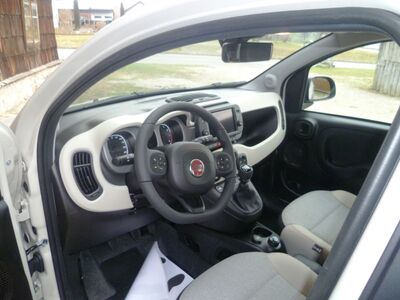 Fiat Panda Tageszulassung