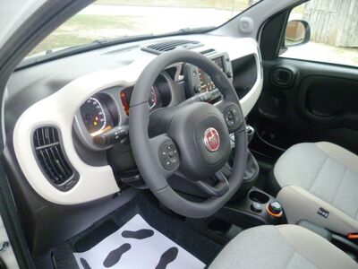 Fiat Panda Tageszulassung