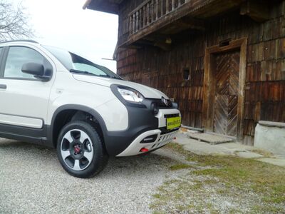 Fiat Panda Tageszulassung