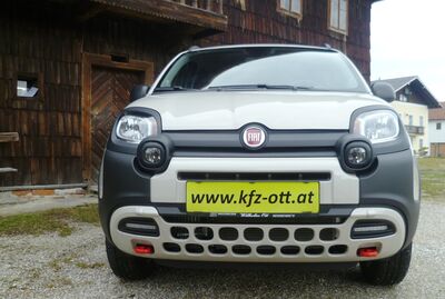 Fiat Panda Tageszulassung