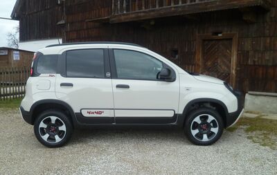 Fiat Panda Tageszulassung