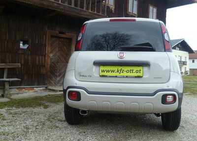 Fiat Panda Tageszulassung