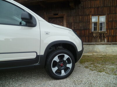 Fiat Panda Tageszulassung