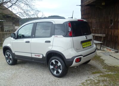 Fiat Panda Tageszulassung