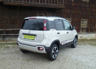 Fiat Panda Tageszulassung