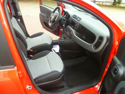 Fiat Panda Gebrauchtwagen