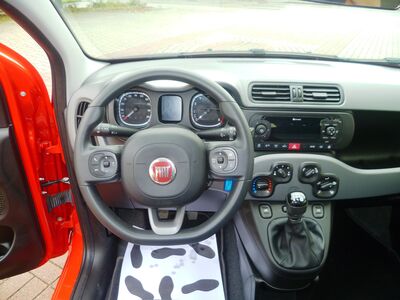 Fiat Panda Gebrauchtwagen