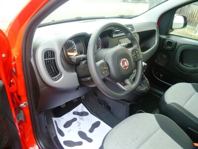 Fiat Panda Gebrauchtwagen