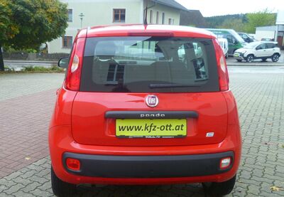 Fiat Panda Gebrauchtwagen