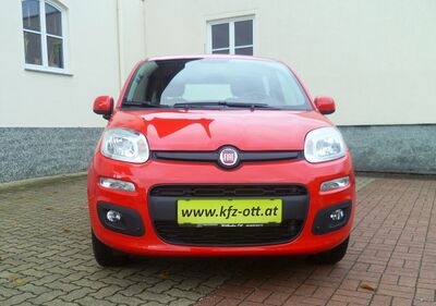 Fiat Panda Gebrauchtwagen