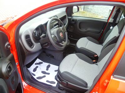 Fiat Panda Gebrauchtwagen