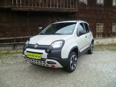 Fiat Panda Tageszulassung