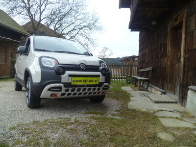 Fiat Panda Tageszulassung