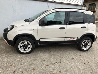 Fiat Panda Tageszulassung