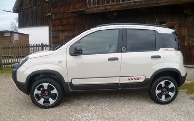 Fiat Panda Tageszulassung