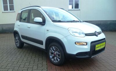 Fiat Panda Gebrauchtwagen