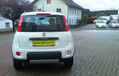 Fiat Panda Gebrauchtwagen