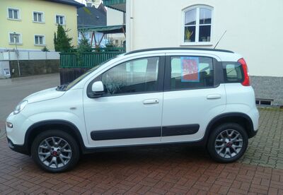 Fiat Panda Gebrauchtwagen